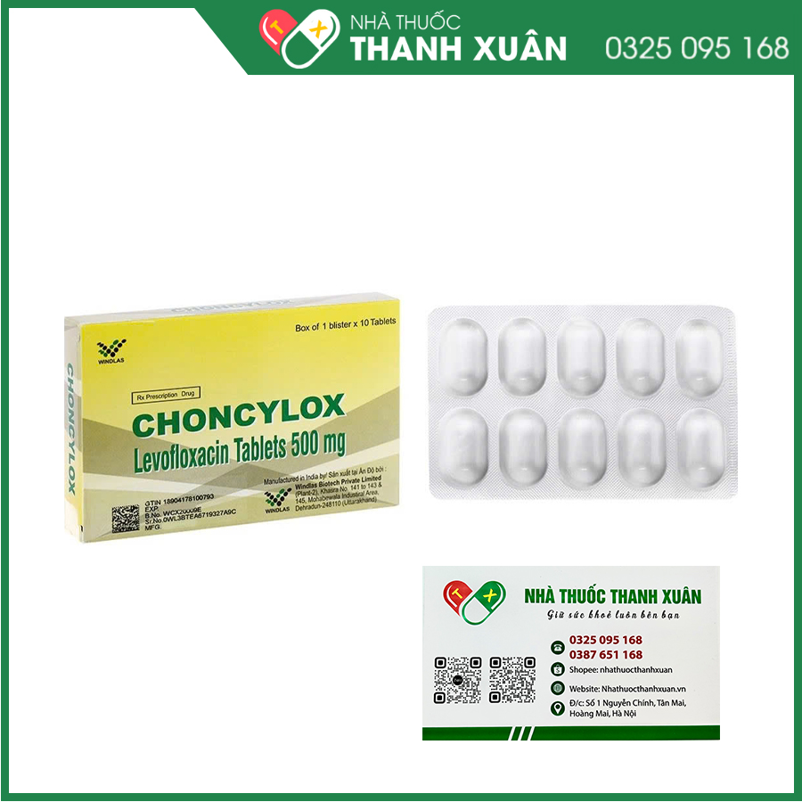 Choncylox thuốc kháng sinh điều trị nhiễm khuẩn hô hấp, tiết niệu, da và mô mềm